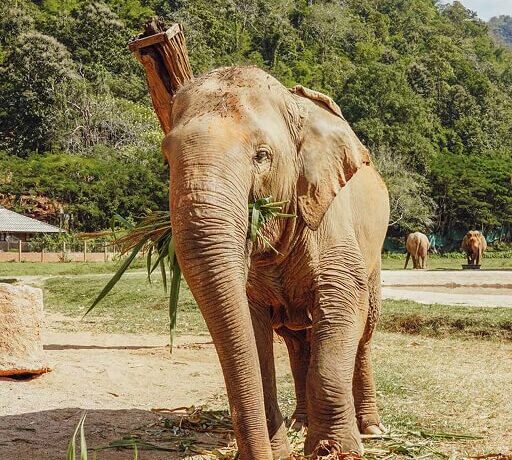 Langkawi Tours