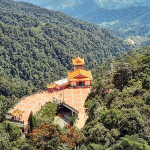 Queenstown Tours